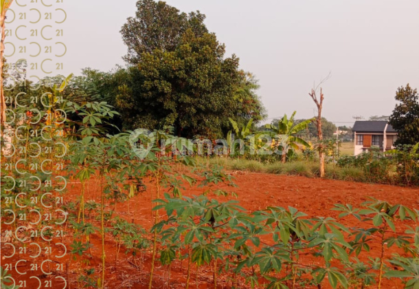 Dijual Tanah Datar Bebas Banjir Cocok untuk Perumahan Cluster Dekat Tol Burangkeng Setu