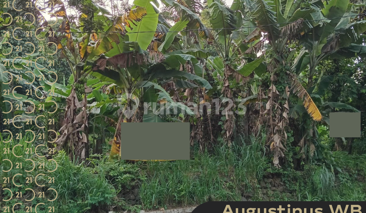 Dijual Tanah Kotak Datar Bebas Banjir Strategis untuk Pergudangan dan Pom Bensin Belakang Cbd Cibubur Dijual Tanah Kotak Datar Bebas Banjir Strategis untuk Pergudangan dan Pom Bensin Belakang Cbd Cibubur