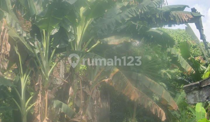 Land for Sale Large Area