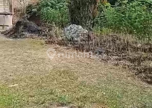 Buy Land Next to Provincial Highway Gunung Sindur Bogor Bonus Ready-to-Live-in House!! Buy Land Next to Provincial Highway Gunung Sindur Bogor Bonus Ready-to-Live-in House!!