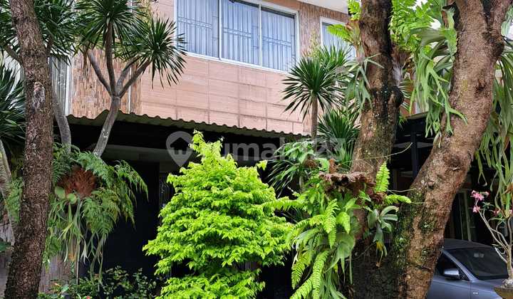 Beautiful House in De Latinos BSD, Sport Club Within the Cluster, Freehold Title