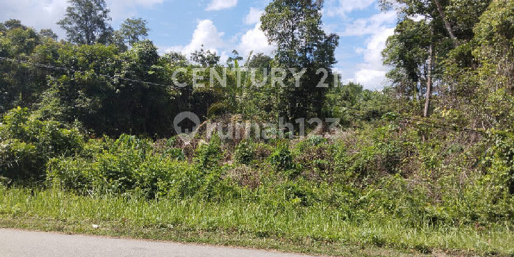 Vacant Land, Rantau Prapat Hamlet, Sanggau Kapuas, West Kalimantan