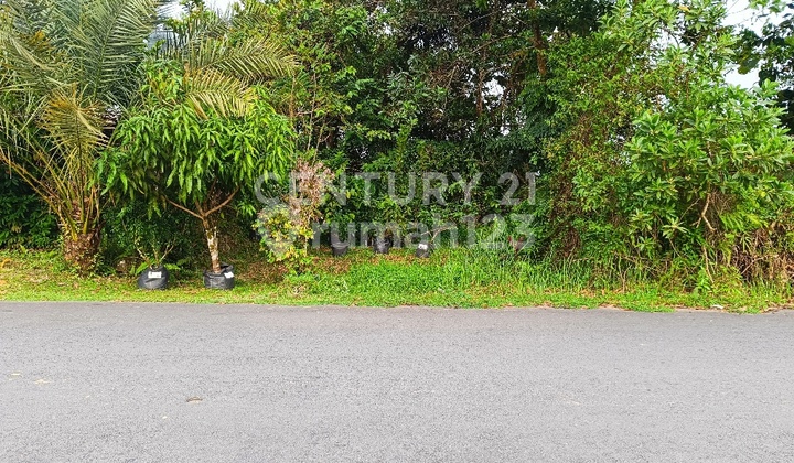 Ready-to-Build Land Sanggau West Kalimantan