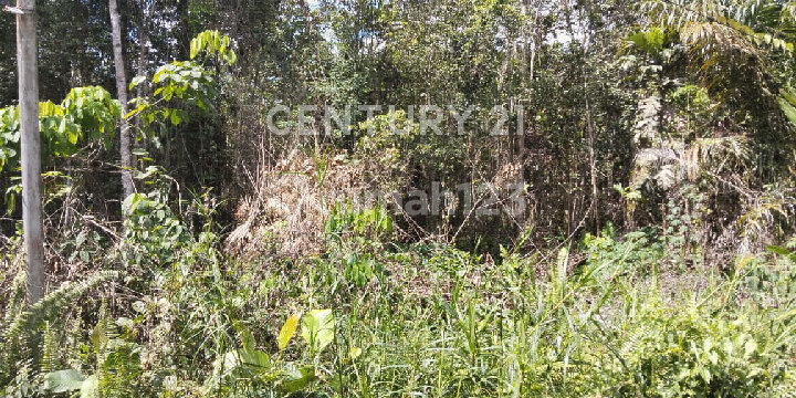 Vacant Land, Rantau Prapat Hamlet, Sanggau Kapuas, West Kalimantan