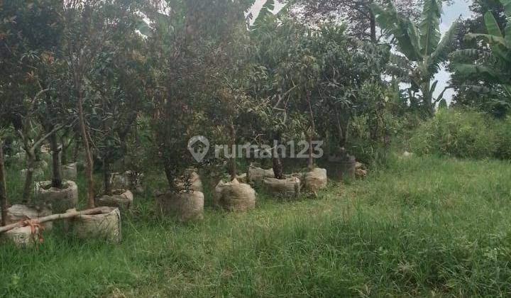 Dijual Tanah Lelang di Jalan Sersan Bajuri, Parongpong Kbb 2