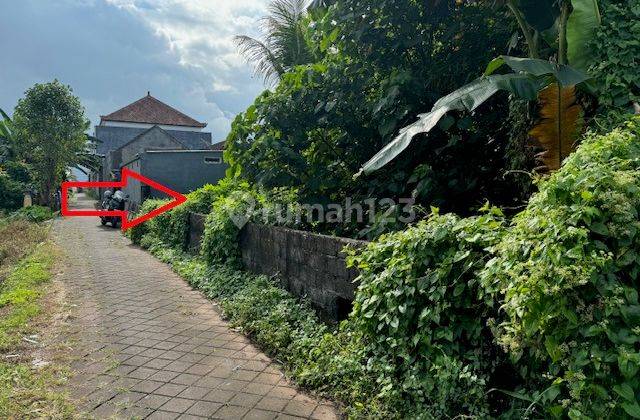 Dijual Tanah Lelang di Jalan Raya Panglan Mengwi Badung Bali 2