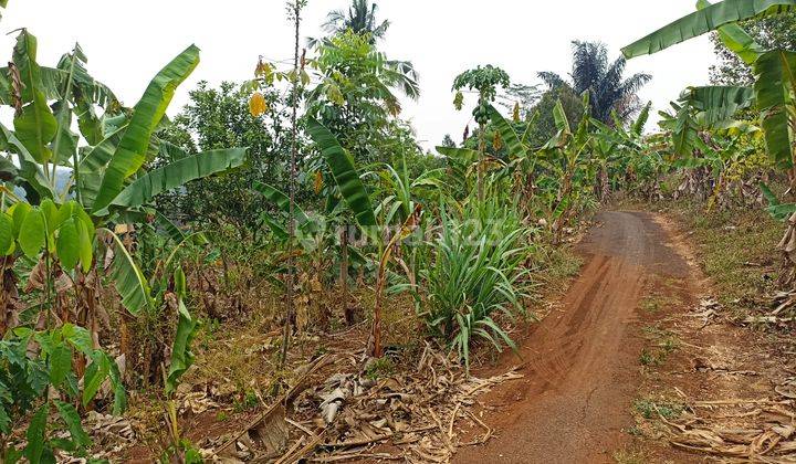 Dijual Tanah Lelang Luas di Sirnawati, Cipatat Kab Bandung Barat 2