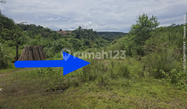 Dijual Tanah Via Lelang Area Cirawa Mekar Cipatat, Kab Bandung Barat Dijual Tanah Via Lelang Area Cirawa Mekar Cipatat, Kab Bandung Barat