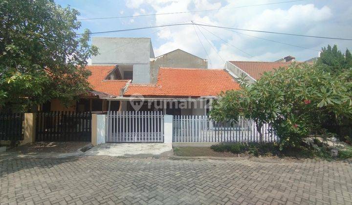 Rumah 1 Lantai Siap Huni Sudah Renov Tenggilis Mejoyo Dekat Ubaya, Kendangsari, Rungkut, Panjang Jiwo, Jemursari, Transmart 1