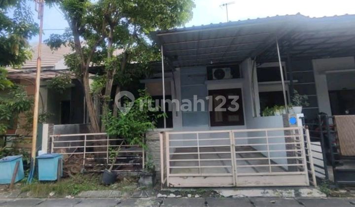 Rumah Taman Rivera Regency 1 Lantai One Gate System Dekat Merr Purimas, Sentra Point, Rungkut, Wiguna, Akses Tol, Juanda 1