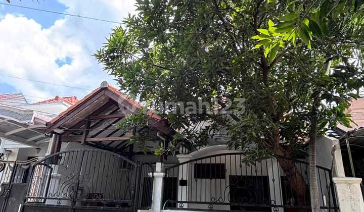 Rumah 1 Lantai Siap Huni Klampis Semolo Wisma Mukti Strategis Dekat Its Unair Hang Tuah Itats, Perum. Manyar, Nginden, Araya, Tengah Kota, Ngagel, Bratang, Merr Galaxy Mall