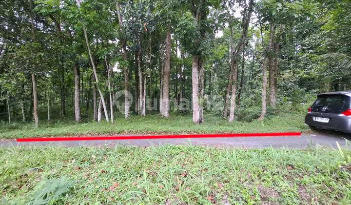 Investasi Lahan Strategis, Tanah Tegalan Lokasi di Pakem, Sleman Investasi Lahan Strategis, Tanah Tegalan Lokasi di Pakem, Sleman