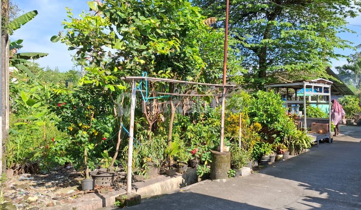 Jual Tanah samping kampus mercubuana jl wates sedayu bantul yogyakarta Jual Tanah samping kampus mercubuana jl wates sedayu bantul yogyakarta