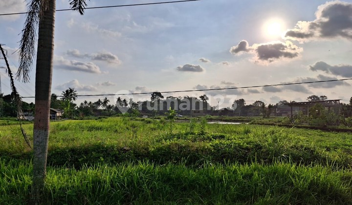Tanah Luas 774 Meter Persegi Lokasi Krandon Wedomartani Sleman Tanah Luas 774 Meter Persegi Lokasi Krandon Wedomartani Sleman