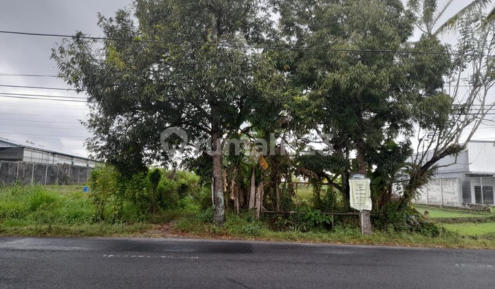 Dijual Tanah Luas 1.051 Meter Persegi Lokasi Jl. Palagan, Sleman, Yogyakarta Dijual Tanah Luas 1.051 Meter Persegi Lokasi Jl. Palagan, Sleman, Yogyakarta