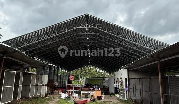 Warehouse for Rent, Ready to Use, Spacious in Ngaglik, Sleman, Yogyakarta Warehouse for Rent, Ready to Use, Spacious in Ngaglik, Sleman, Yogyakarta