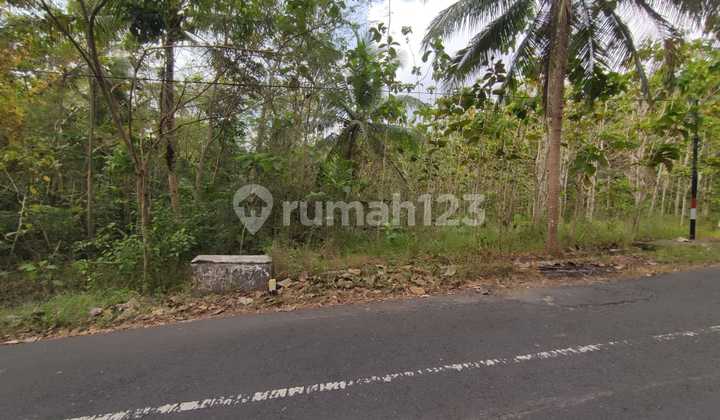 Tanah Dijual Luas 1898 Meter Persegi di Jalan Milir, Panjatan - Kulon Progo Tanah Dijual Luas 1898 Meter Persegi di Jalan Milir, Panjatan - Kulon Progo