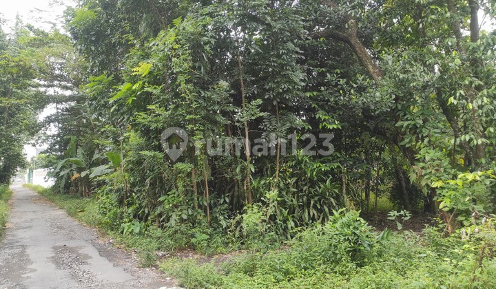 Tanah Luas 1102 Meter Persegi Lokasi Dekat Kampus UII Terpadu Tanah Luas 1102 Meter Persegi Lokasi Dekat Kampus UII Terpadu