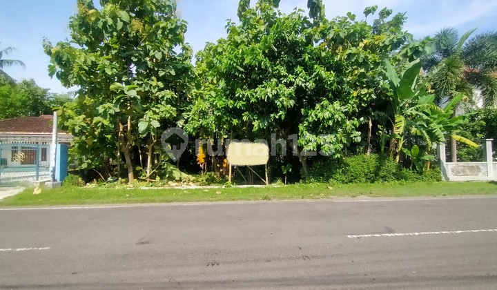 Tanah Pekarangan Luas 1150 Meter Persegi Dekat Pusat Kota Wates 1
