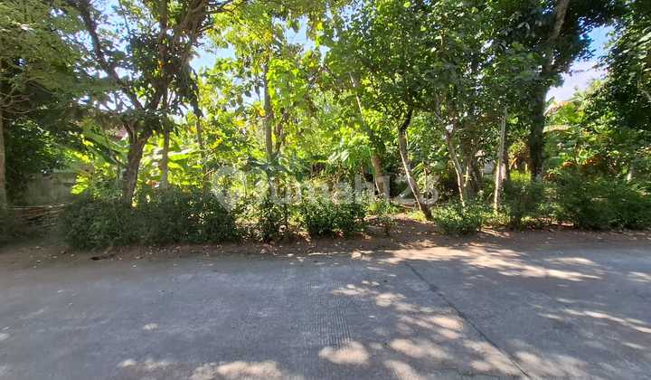 Tanah Pekarangan Luas Lokasi Berada di Daerah Bambang Lipuro Bantul Tanah Pekarangan Luas Lokasi Berada di Daerah Bambang Lipuro Bantul