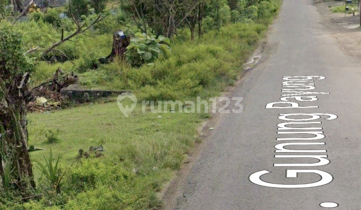 Tanah Murah Jalan Utama Gunung Payung Nusa Dua Bali Tanah Murah Jalan Utama Gunung Payung Nusa Dua Bali