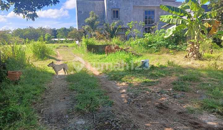 Tanah Murah Siap Bangun di Kutuh Pandawa Nusa Dua Badung Bali