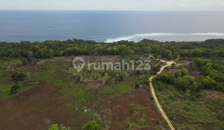 Tanah Tebing Los Pantai Di Sumba Nusa Tenggara Timur 