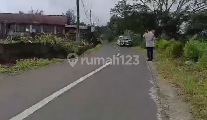 Tanah Prime Komersial Nempel Restoran Deket Hotel Elevate Munduk 