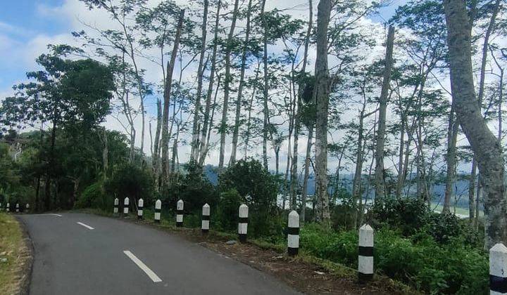 Tanah Murah Cocok Untuk Restorsn Villas View Danau Gunung di Munduk 2