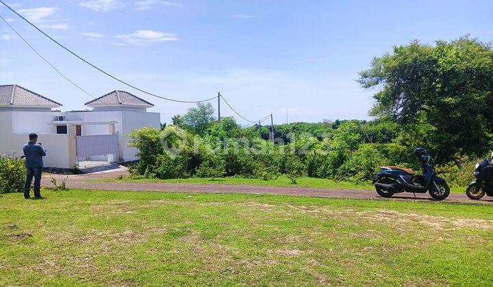 Sewa Hak Guna Bangunan Zona Merah Muda Plot Terakhir di Blangan Vila Terbaik yang Tenang  

Lease Hold Pink Zone Last Plot In Blangan The Best Villa Quite