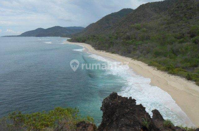 For Sale Land Beach Front Sili Sumbawa Barat  1