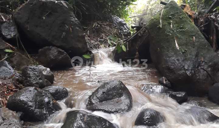 Tanah Murah View Cantik Siap Bangun Di Payangan Ubud Gianyar Bali