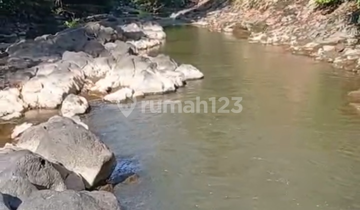 Tanah Murah View Sungai Sawah Lingkungan Villa Di Buwit Tanah Murah View Sungai Sawah Lingkungan Villa Di Buwit