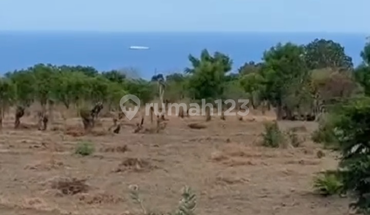 Tanah Murah View Gunung Dan Laut Di Tulamben Karang Asem Bali