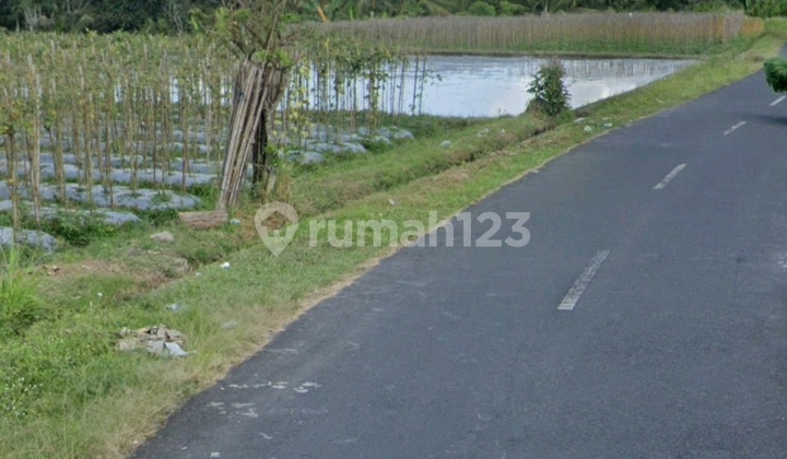 Tanah Murah View Sawah Dan Sungai Deket Ubud Badung Bali Tanah Murah View Sawah Dan Sungai Deket Ubud Badung Bali