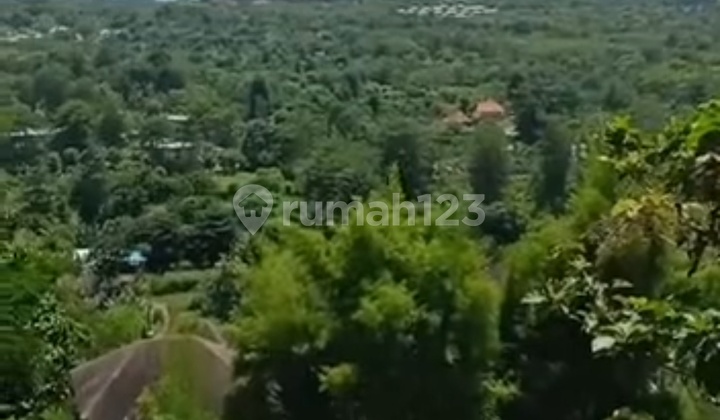 Freehold Unblok Ocean View Close The Eyes Padang Padang Pecatu Freehold Unblok Ocean View Close The Eyes Padang Padang Pecatu