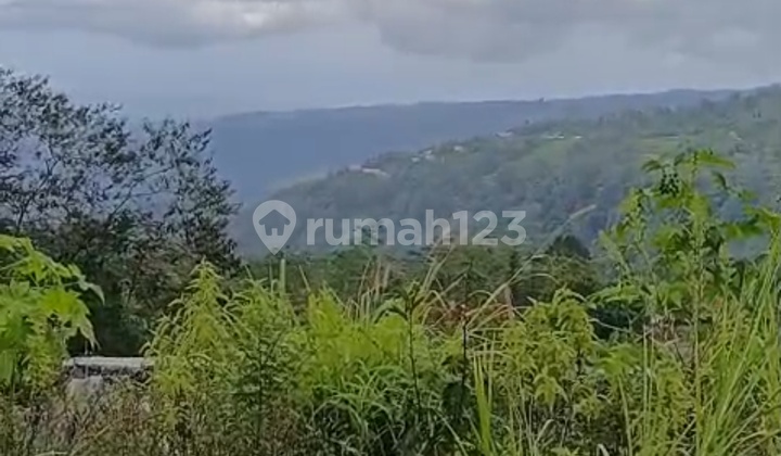Tanah Murah Pemandangan Indah Di Munduk Buleleng Singaraja 
