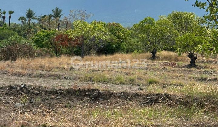 Affordable Land Ready for Transaction in Tulamben Karangasem Bali