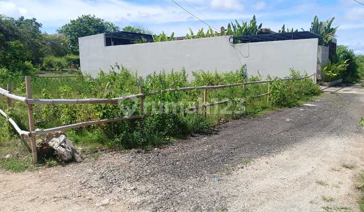 Cheap Land Ready to Build in Villa Area, Kutuh Pandawa Bali