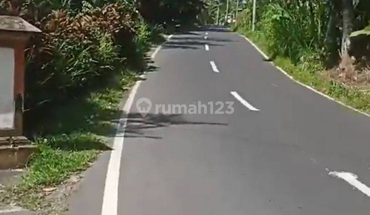 Cheap Land For Sale Near Ubud Only 15 Minutes From Central Ubud 2