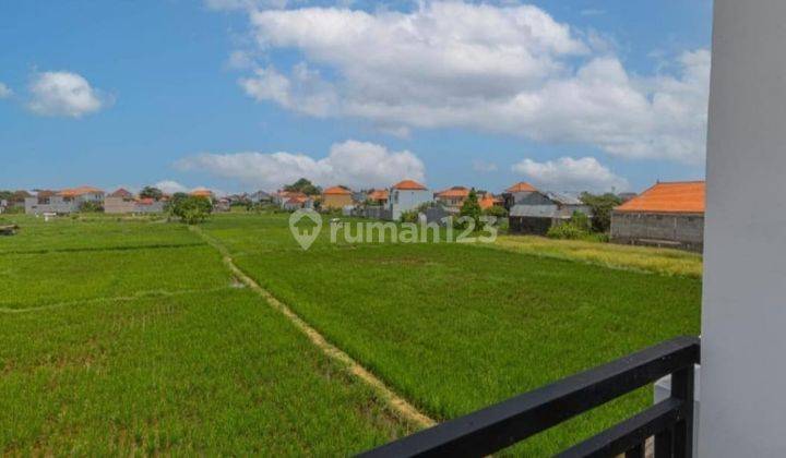 Jual Villa Pemandangan Padi Nan Hijau Lingkungan Tenang Bersih 1