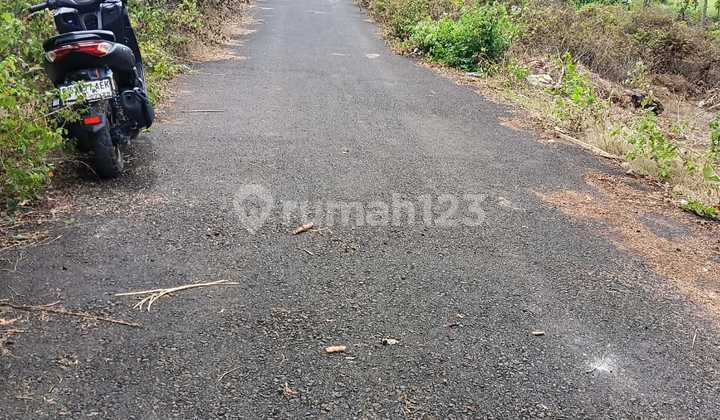 Cheap Land Suitable for Subdivision Near Melasti Ungasan Bali