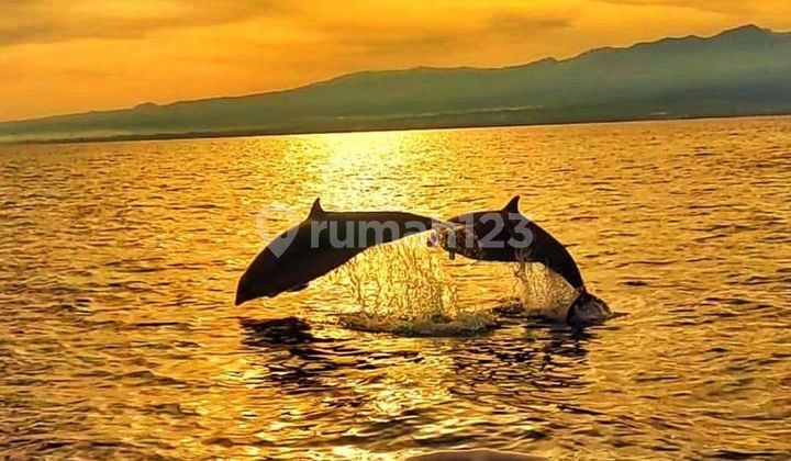 Cheap Land Sea View 7 Meter Road In Seririt Buleleng Singaraja