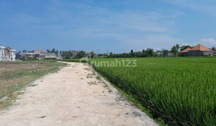 Lease Hold Land Rise View Close To The Beach Seseh Munggu  1