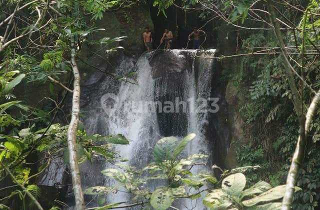 Cheap Land with Waterfall View Attached Hide Way Ubud in Payangan Cheap Land with Waterfall View Attached Hide Way Ubud in Payangan