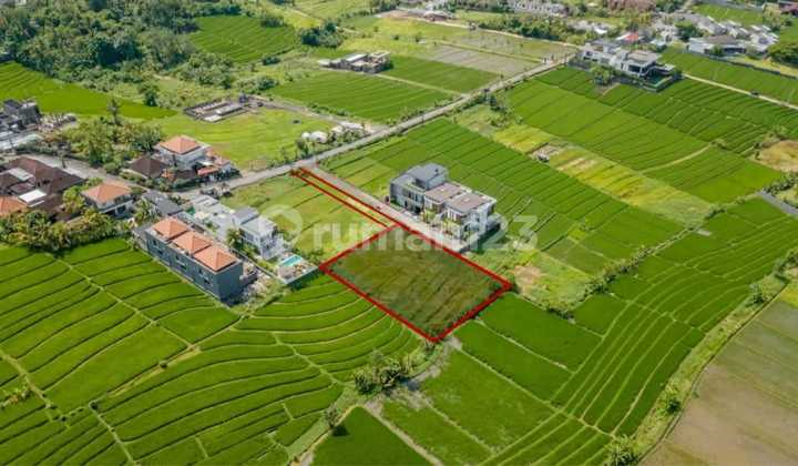 Tanah Murah Siap Bangun View Sawah Deket Pantai Nyany Tabanan