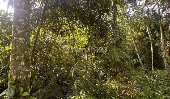 Land Jungle And River View Pink Zone Best Villa At Petulu Ubud 1