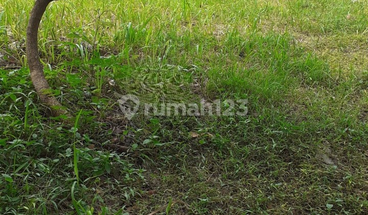 Prime Plot Strategic Access in Kencana Loka Cluster BSD