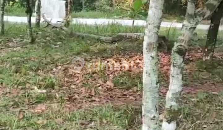 Negotiable land near the central square of Pandeglang city in Kadu Lisung Pandeglang.