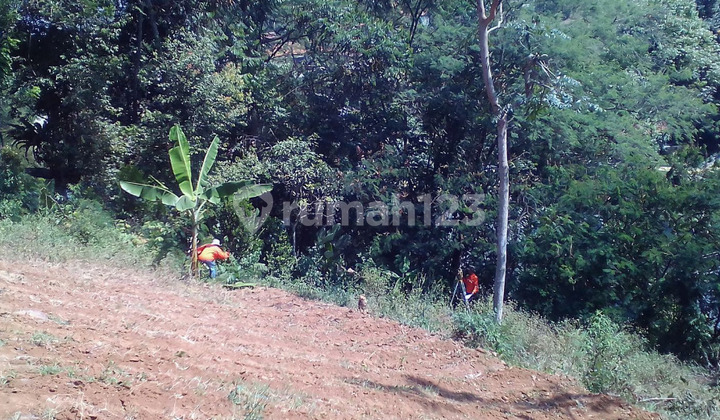 Affordable Plot SHM 2000 M2 Suitable for Villa Dago Giri, Bandung Affordable Plot SHM 2000 M2 Suitable for Villa Dago Giri, Bandung